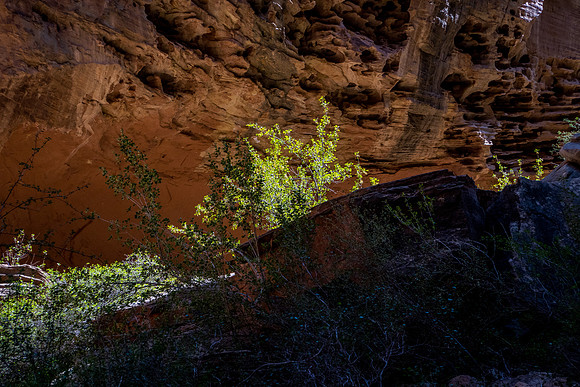 Grand Wash-069