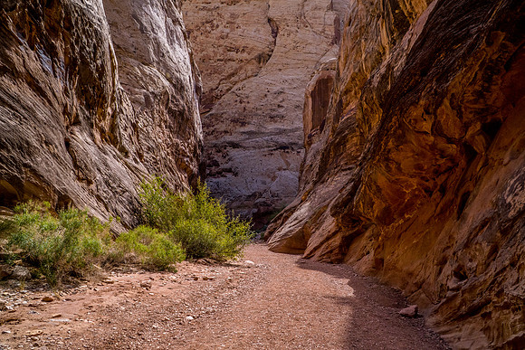Grand Wash-071