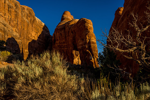 Pinetree Arch-011