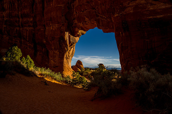 Pinetree Arch-012