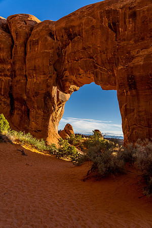 Pinetree Arch-013