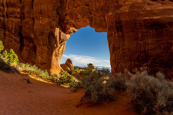 Pinetree Arch-015