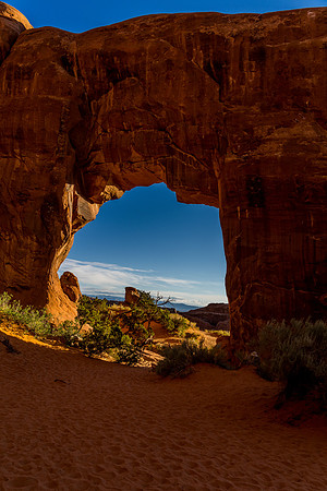 Pinetree Arch-014