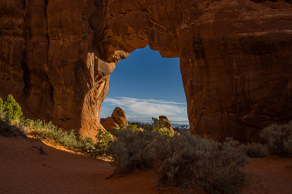 Pinetree Arch-016
