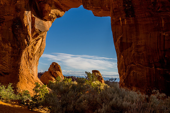 Pinetree Arch-017