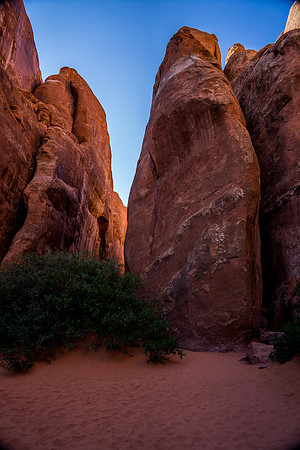 Sand Dune Arch-033
