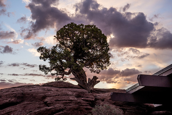 Dead Horse Point-003