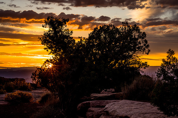 Dead Horse Point-002