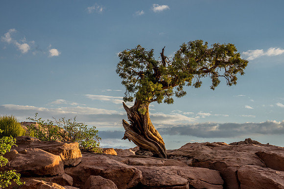 Dead Horse Point-018