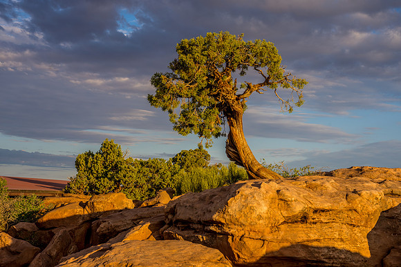 Dead Horse Point-019
