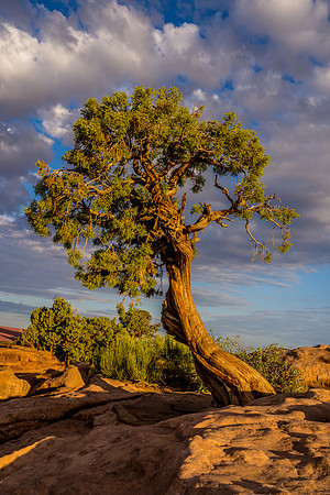 Dead Horse Point-021
