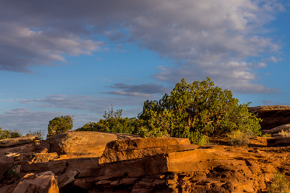 Dead Horse Point-022