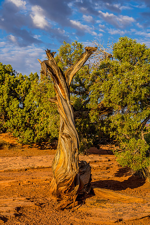Dead Horse Point-029