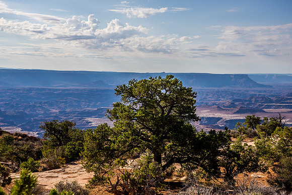 Mesa Arch-011