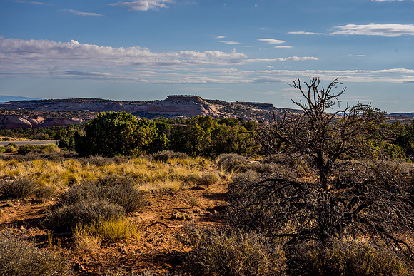 Mesa Arch-013