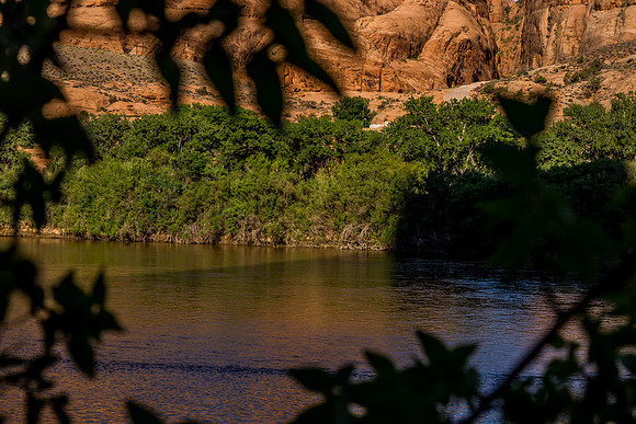 Colorado River-013
