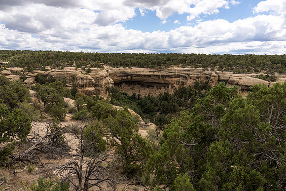 Cliff Palace-040