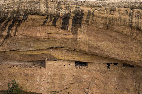 Cliff Palace-025