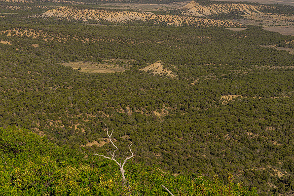 Montezuma Valley-003