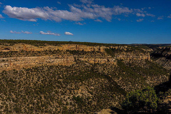Navajo Canyon-008