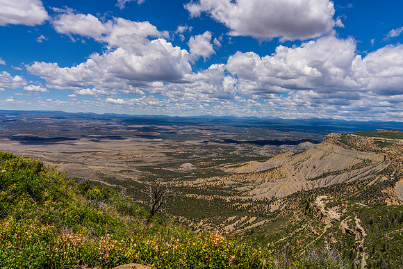 Park Point-056