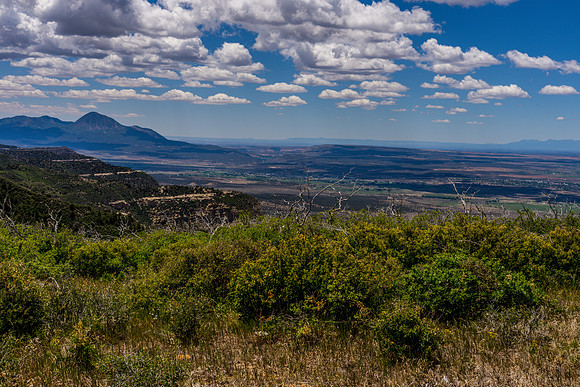 Park Point-058