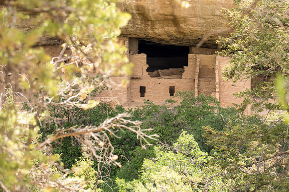 Spruce Tree House-046