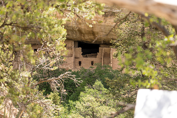 Spruce Tree House-048