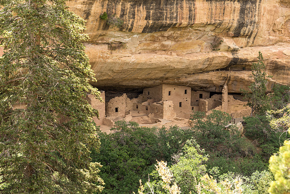 Spruce Tree House-051