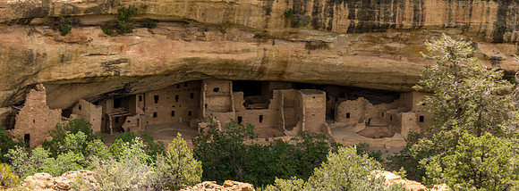 Spruce Tree House-054