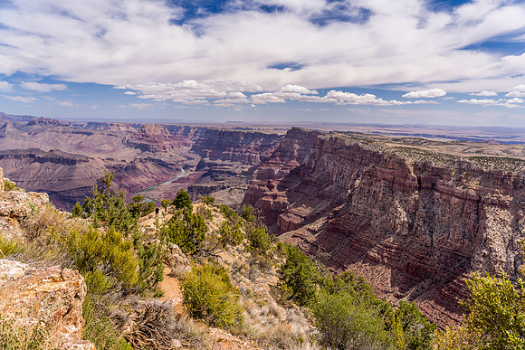Desert View-002