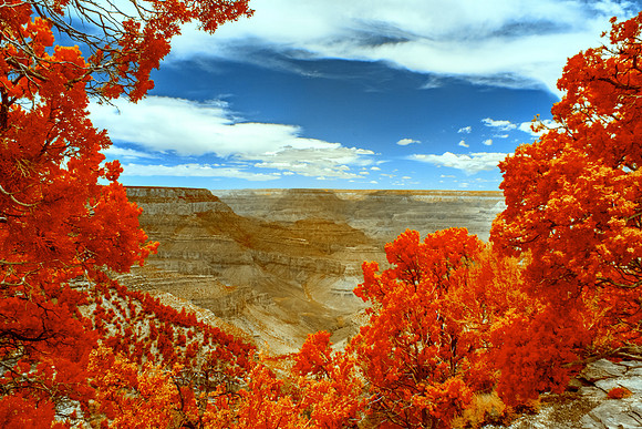 Grandview Point-031