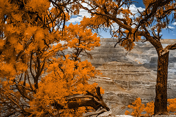 Grandview Point-035