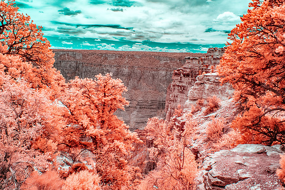Grandview Point-038