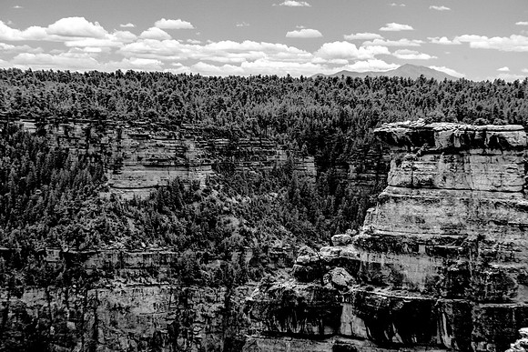 Grandview Point-039