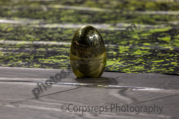 Unionville Guard_240421_CURE Arena-JB00001