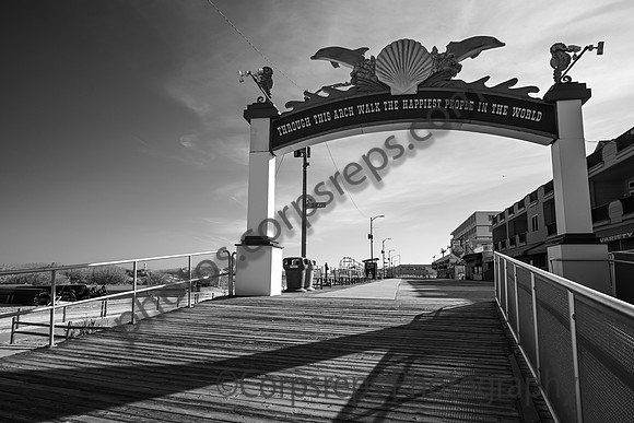 _240501_Wildwood-XX00012