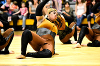 Triton Regional Guard-1005