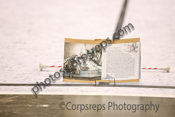 Canton Twirlers_250501_Wildwood-JB02533
