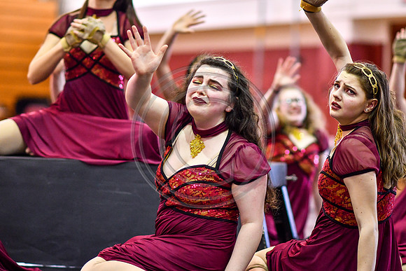 Avon Grove Maroon Guard-298