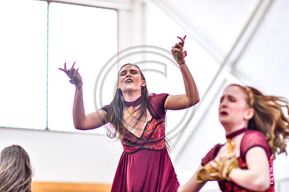 Avon Grove Maroon Guard-303