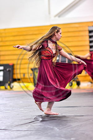 Avon Grove Maroon Guard-309
