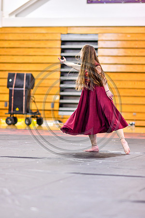 Avon Grove Maroon Guard-317