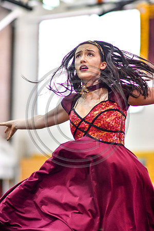 Avon Grove Maroon Guard-314