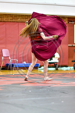Avon Grove Maroon Guard-316