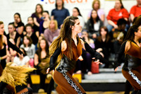 Triton Regional Guard-1006