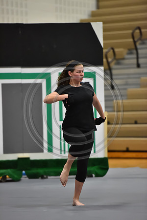 Governor Mifflin Guard-877