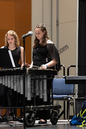 Southern Tioga Jazz_250502_Wildwood-JB00010
