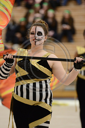 Bloomfield Guard-542