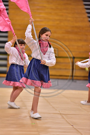 Pegasus Too JR Guard-159